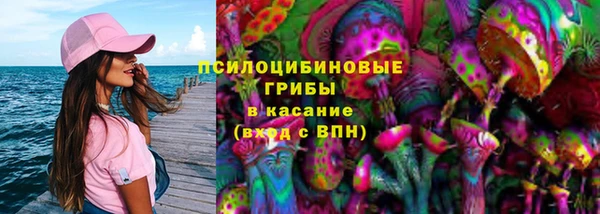 МДПВ Бронницы