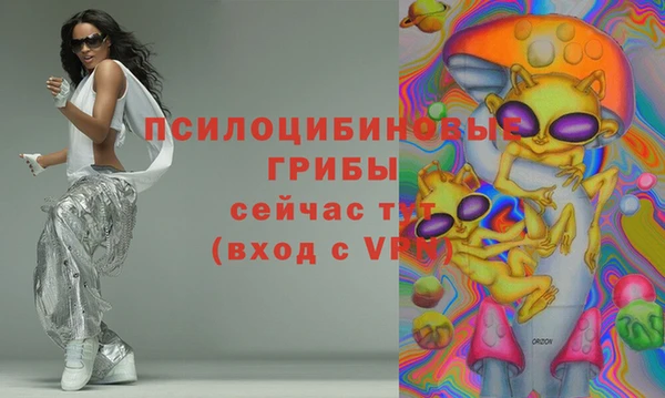 а пвп мука Бугульма
